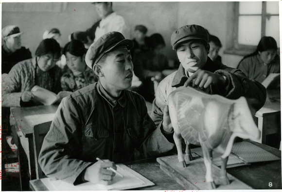 Zhang Tiesheng 张铁生 in his classroom at the Veterinary Dept. of the Liaoning Agricultural College