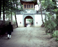 A Daoist monk picking his path