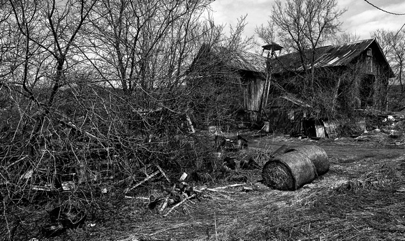 Neglected farm with animals, between Truxton and Cuyler on Rte.13 II