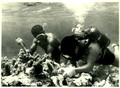 Fishermen searching for specimen on a reef