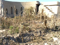 Remnants of the Beitang Fort II