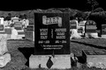 Jewish cemetery - Wyatt Earp's grave (and wife Josephine Sarah Marcus)