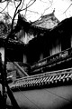 The Erwang Temple in Dujiangyan. It'll take three more years to reopen this World Heritage Site