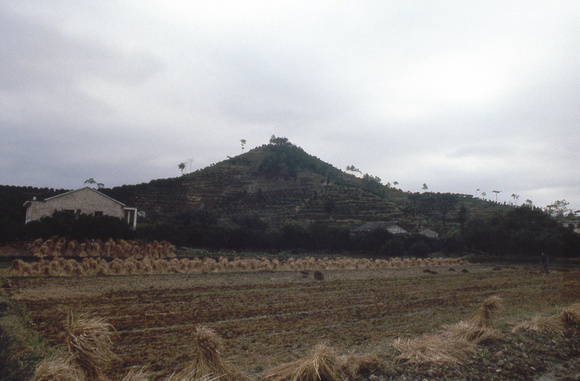 Mt. Weiyu, elevation 80 m