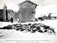 The Manchurian Plague 1910-11 (2)