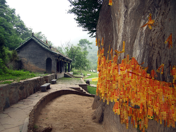 Different perspective on one of the oldest Gingko trees in China