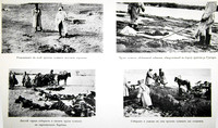 The Manchurian Plague 1910-11 (2)