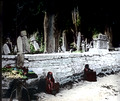 Turkey: Cemetary in Istanbul (Constantinople)