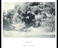Taiwan 台湾 1896