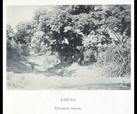 Tainan - Path through a hollow