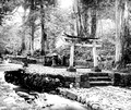 Nikko: Grave in the woods