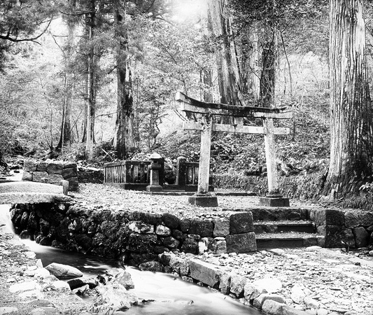 Nikko: Grave in the woods