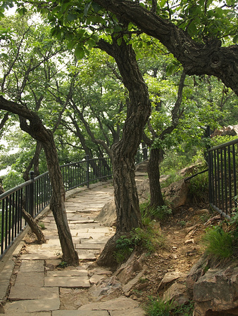 Pathway near the Tiantan Peak II