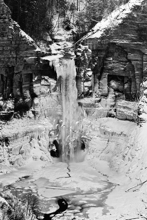 Taughannock Falls, flock of birds
