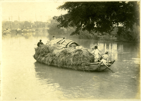 Women transporting reeds by water