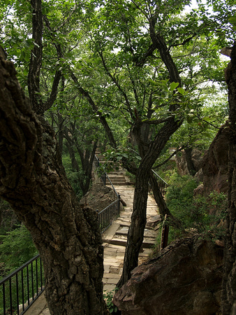Pathway near the Tiantan Peak I