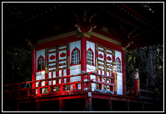 Japanese tea garden in San Francisco VI