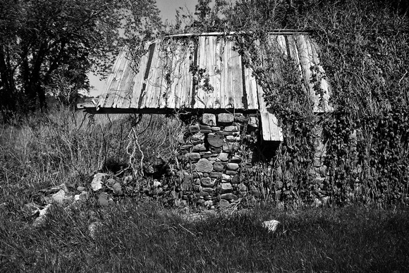 Stone foundations of old farmhouse on Rte. 14, south of Alton